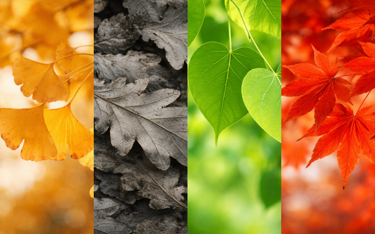 trac nghiem afamily 17752016825411455700943