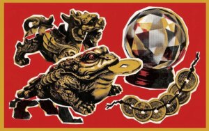 trac nghiem may man afamily 17752229375031132023924 0 0 637 1019 crop 17752700427721747590644