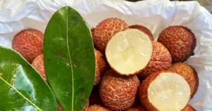 Vai Thieu Trung Quoc Do Bo Cho Viet Gia Cao Khong Tuong 453