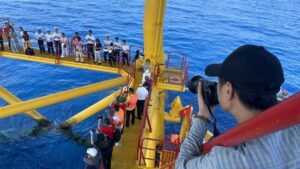 Vnapotalbaochicachmangvietnam Tienphongdoimoivasangtao8092010 1749912257474719345814 82 0 588 900 Cr